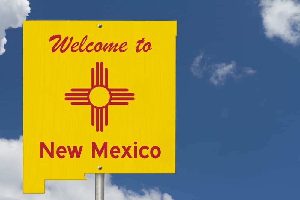 New Mexico Car Seat Laws & Requirements [2023 Updated]